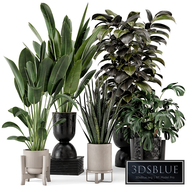 Indoor Plants in Ferm Living Bau Pot Large - Set 583
