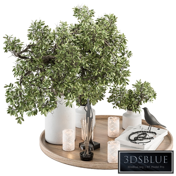 Wood and Green Decorative Set with Bouquet in Tray - Set 112