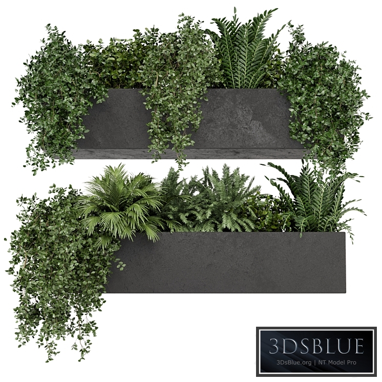 Hanging Plants in rusty Concrete Pot - Set 589