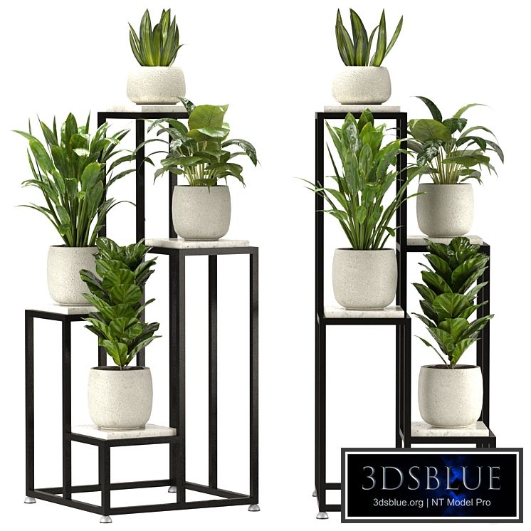 Collection Indoor Plants Set Nim08