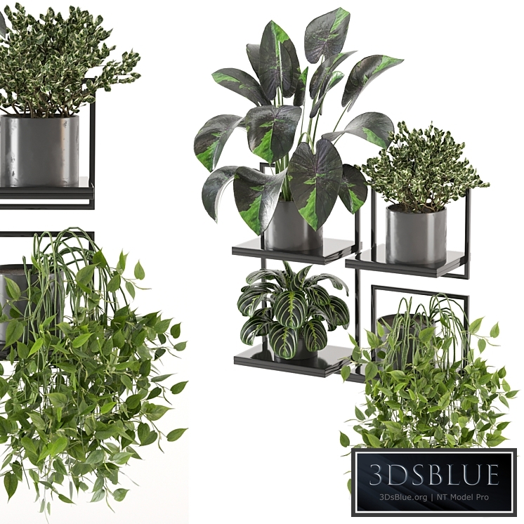 indoor plants on metal frame - Set 287