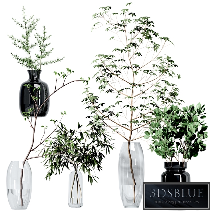 Set of branches in vases