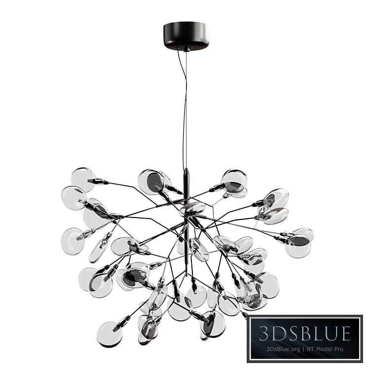 Crystal lux Evita SP63 D Black