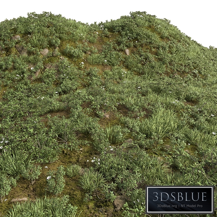 GRASS COLLECTION FOR LANDSCAPE NO12