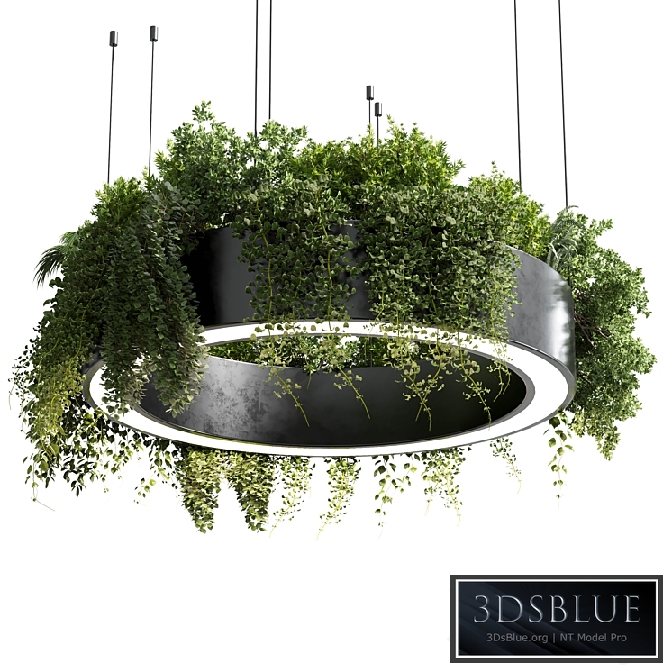 circle pot light - pendant plant light hanging 05