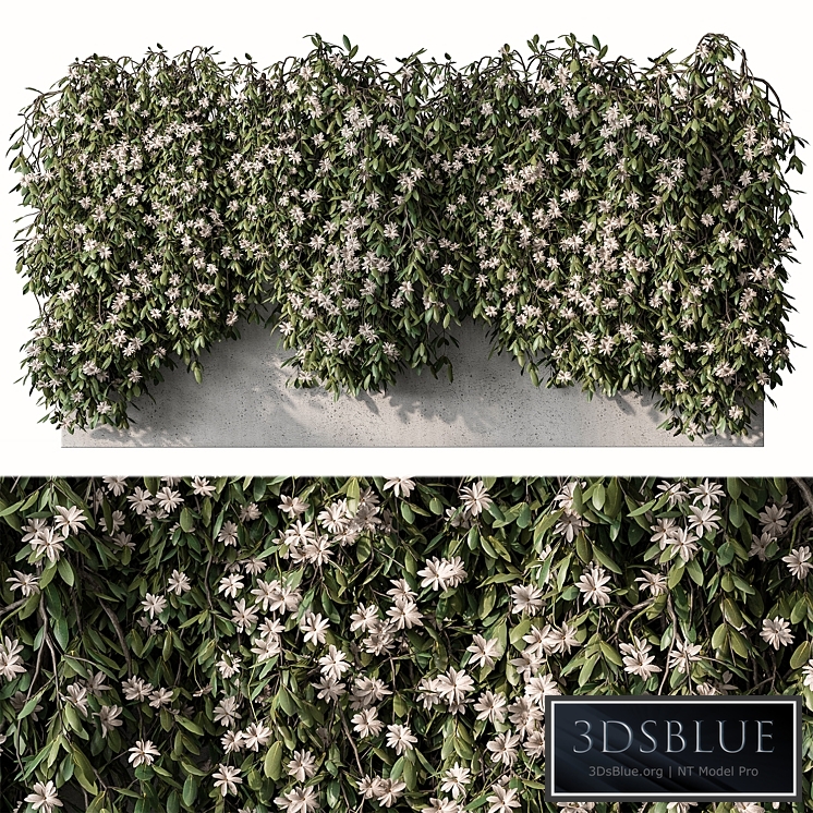 Outdoor Hanging Plants with White Flower - Set 390