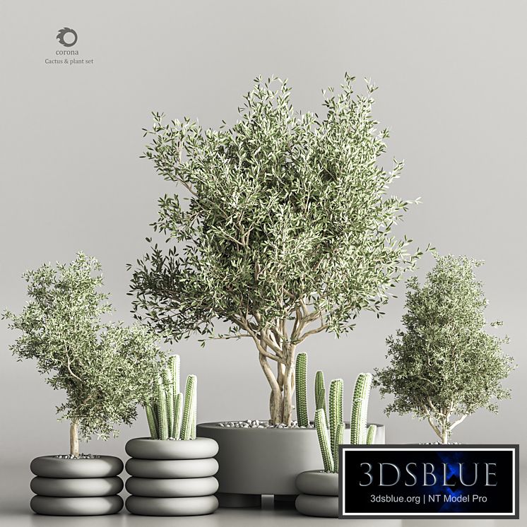 cactus & plant vol 06