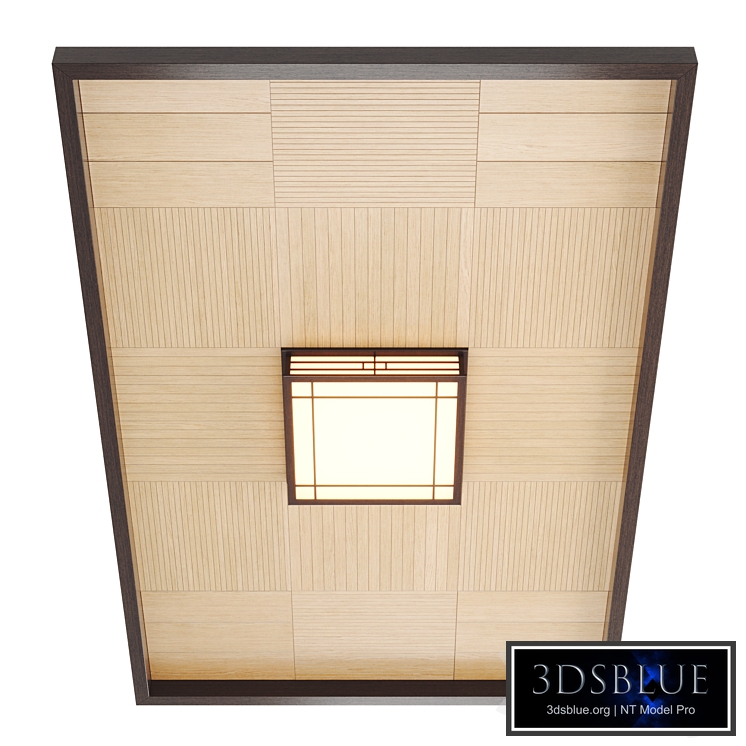 Japanese/Korean style ceiling