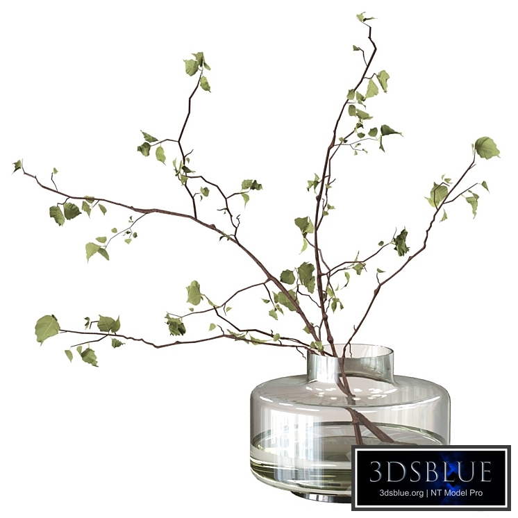 Branches in a vase 123