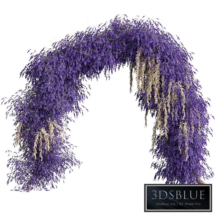 Arch of lavender flowers