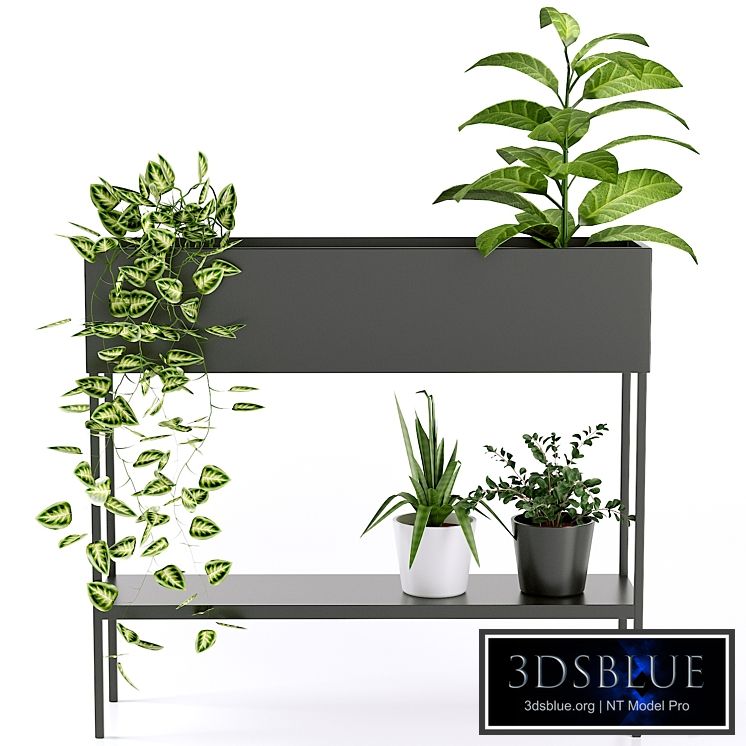 Console Consuela for flowers | La redoute