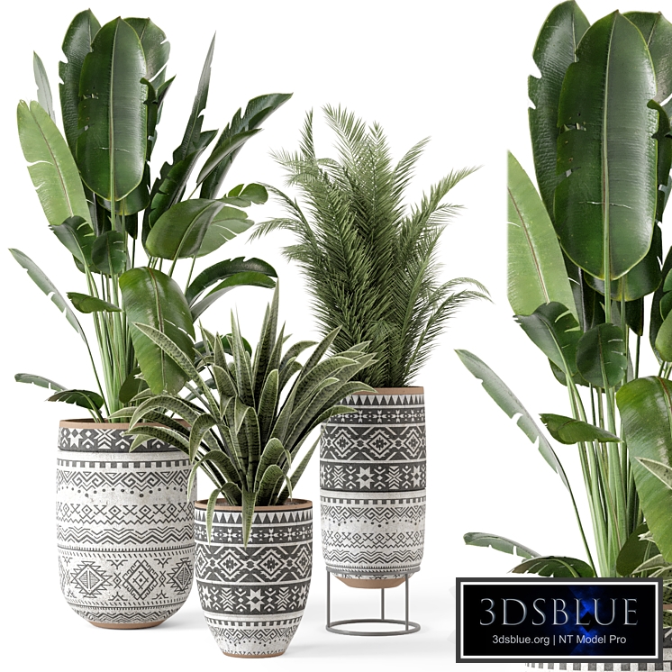 Indoor Plants in rusty Concrete Pot - Set 628