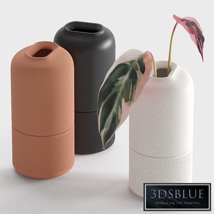 Ceramic Vases (Zenn Vases by Axioma)