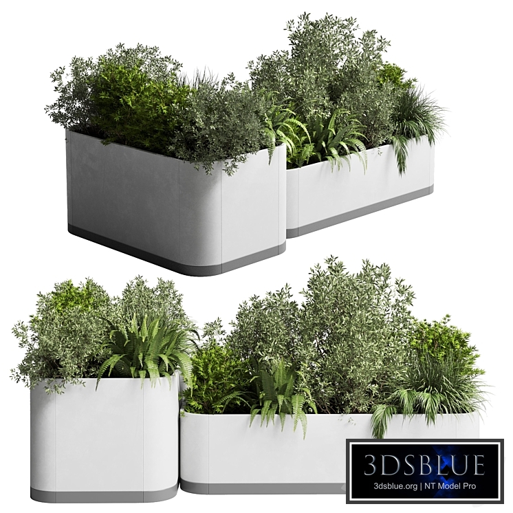 stand plant box - collection Indoor plant 212 concrete vase pot fern grass