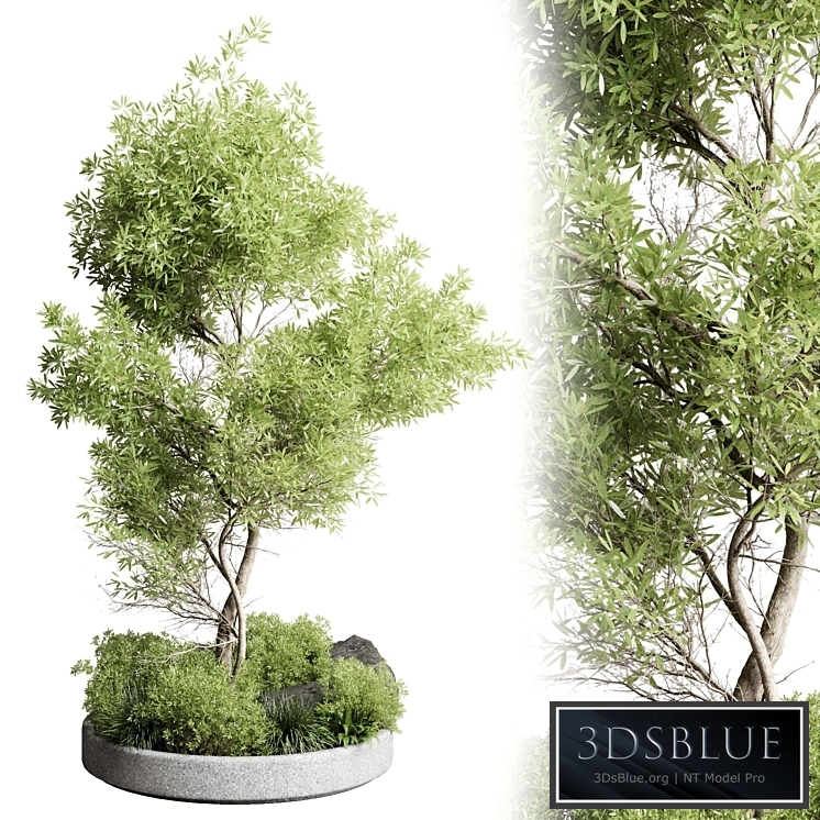 Collection outdoor indoor 85 pot plant & tree & bush