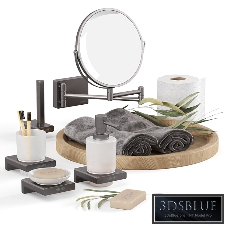 Hansgrohe AddStoris Bathroom Accessories