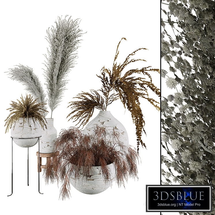 Plant Collection Set 01