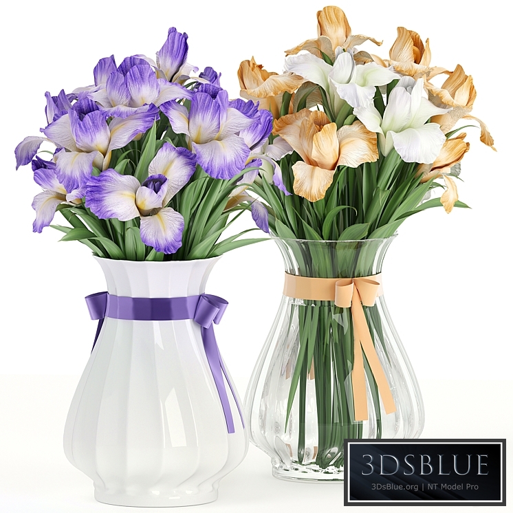 Flower Pack 249C IRIS