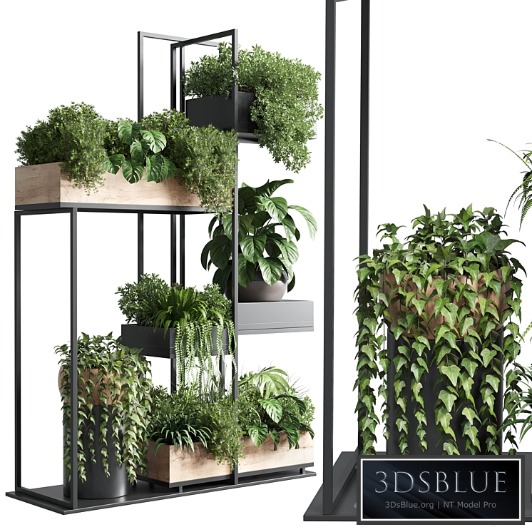 stand plant box - collection Indoor plant 217 wooden