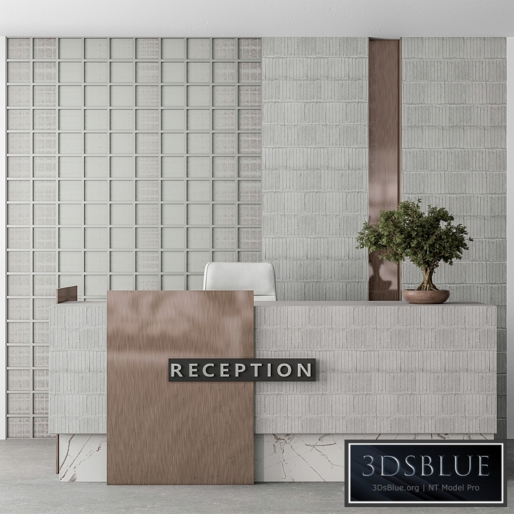 Reception Desk and Wall Decoration - Office Set 306