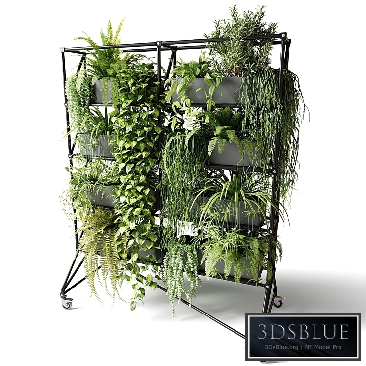 Mobile rack with plants