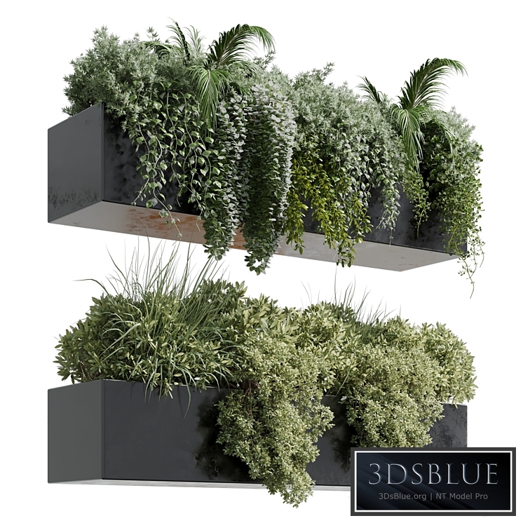 wall plant - hanging plants collection Indoor plant 219