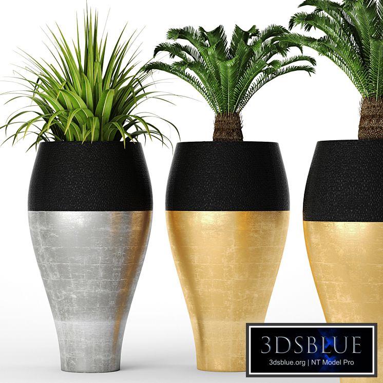 Cycas set, pot, flowerpot, luxury, golden, cycas, interior