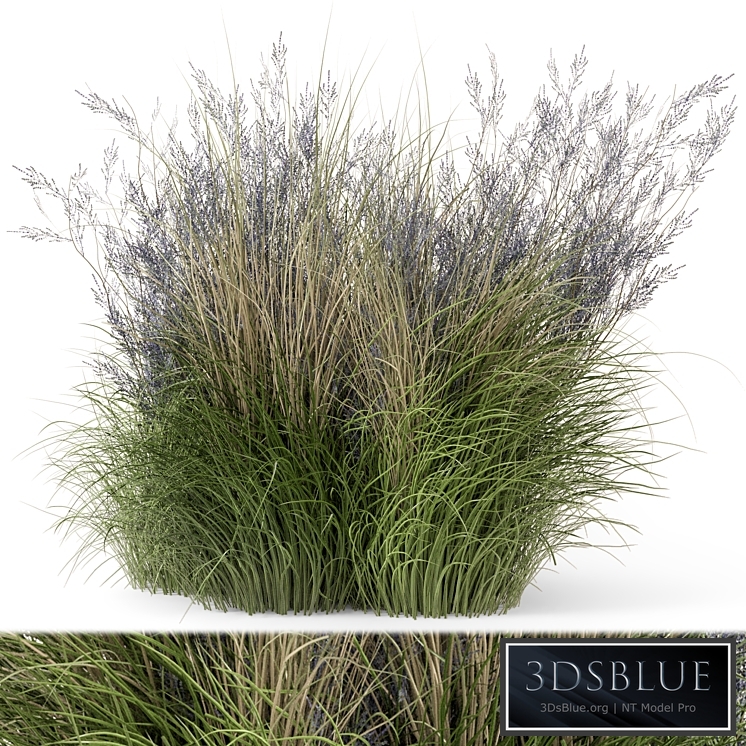 Outdoor Plants Bush-Bush Set 660