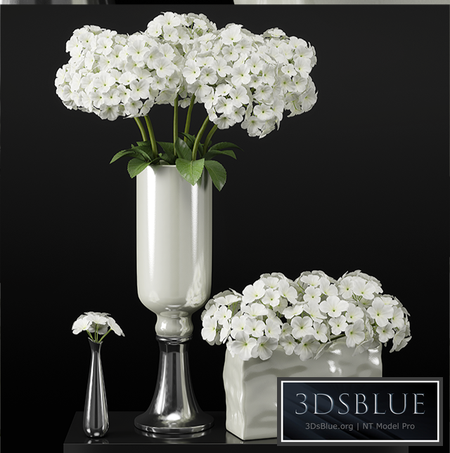 Hydrangeas arrangements-hydrangea