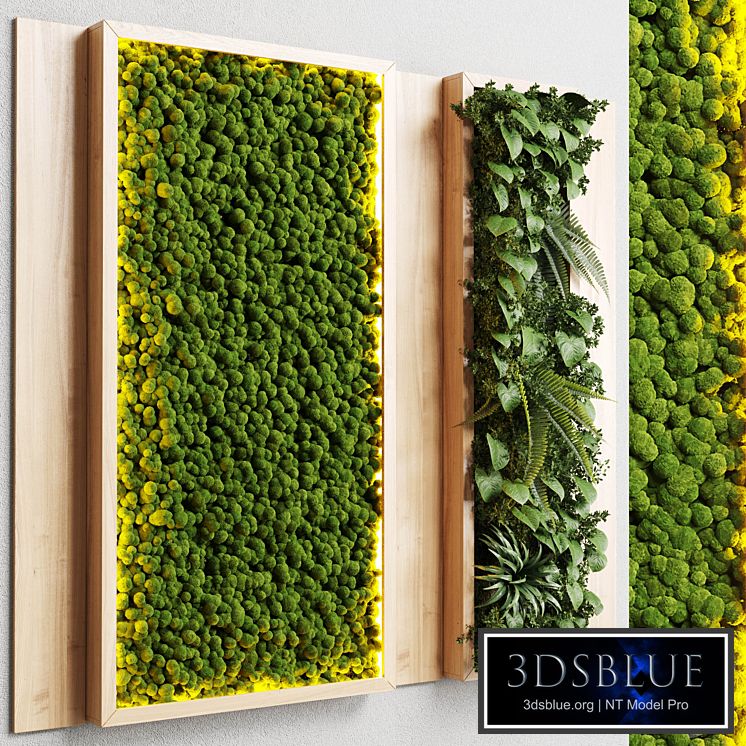 wall garden and vertical moss in wooden frame 22