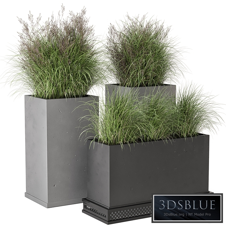 Outdoor Plants Bush in rusty Concrete Pot - Set 665