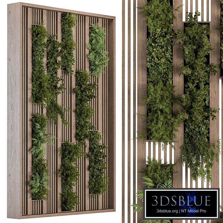 Green Wall - Plants partition 03