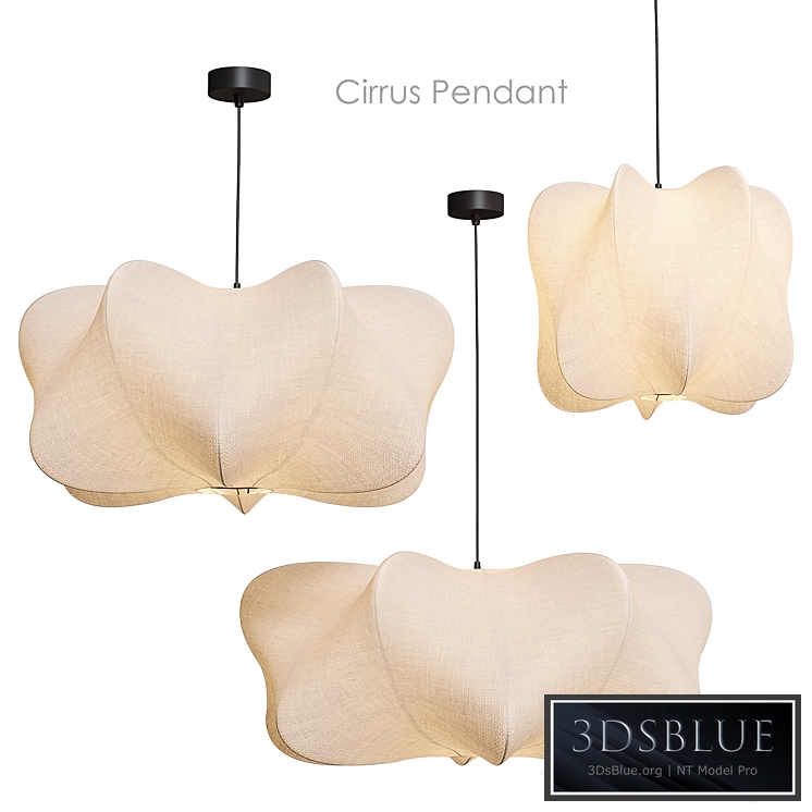 Cirrus Pendant Pendant lamp West Elm