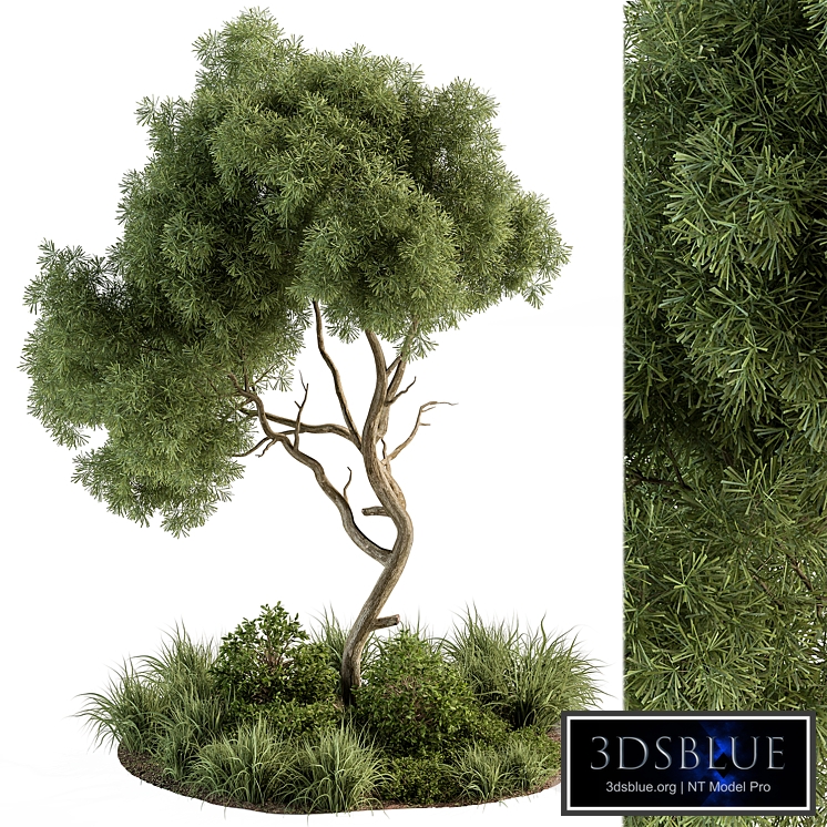 Garden Set Tree and Plants - Outdoor Plants Set 399