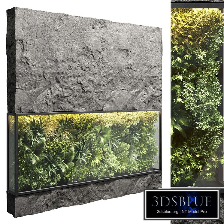 collection outdoor plant stand vertical garden wall glass box vase