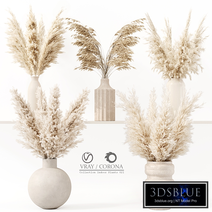 Collection Indoor Plants 021