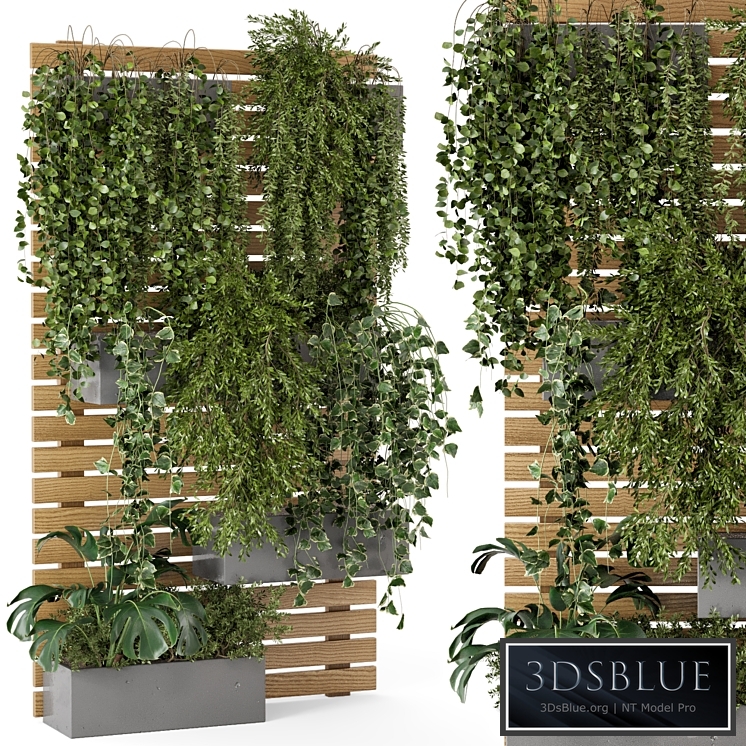 Outdoor Plants Pallet vertical planter Pots - Set 686