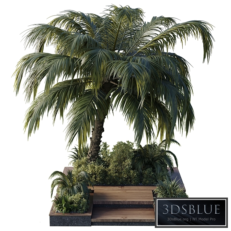 garden pot tree palm bush fern grass concrete base Collection Outdoor plant 102