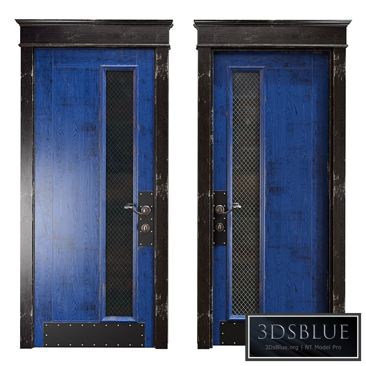 RIDS2.0 Blue/black Loft door
