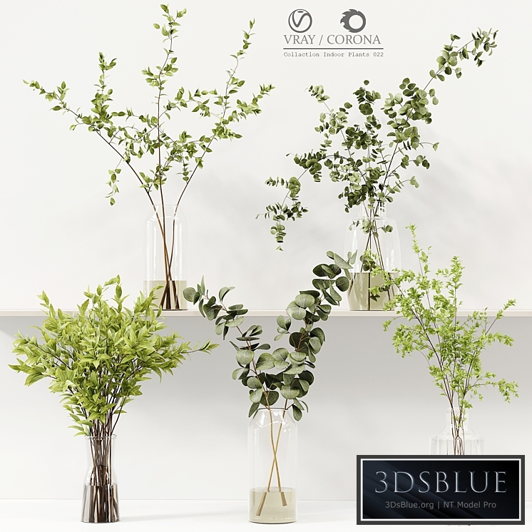 Collection Indoor Plants 022