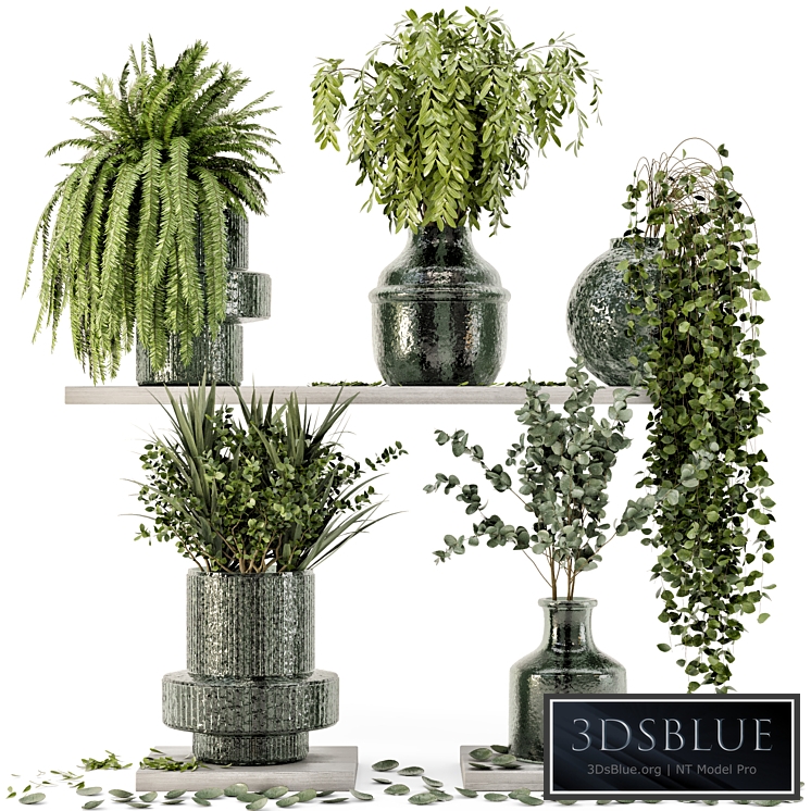 Collection Indoor Plants in Glass Pots - Set 695