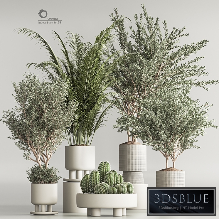 Indoor Plant Set 54(Corona)