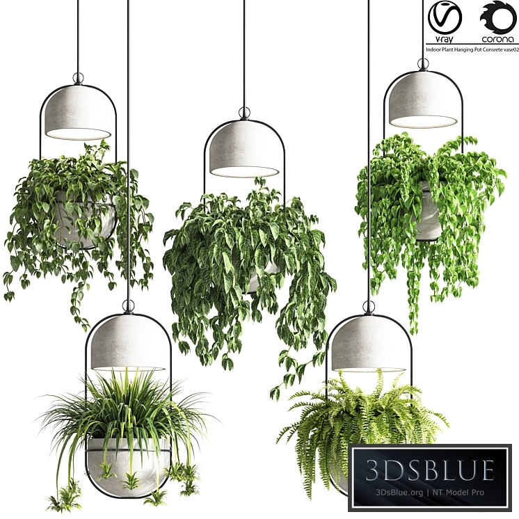 indoor_plants_hanging_pot_concrete_vase_02