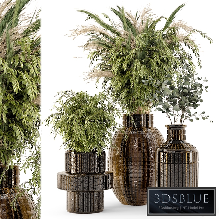 Collection Indoor Plants in Glass Pots - Set 701