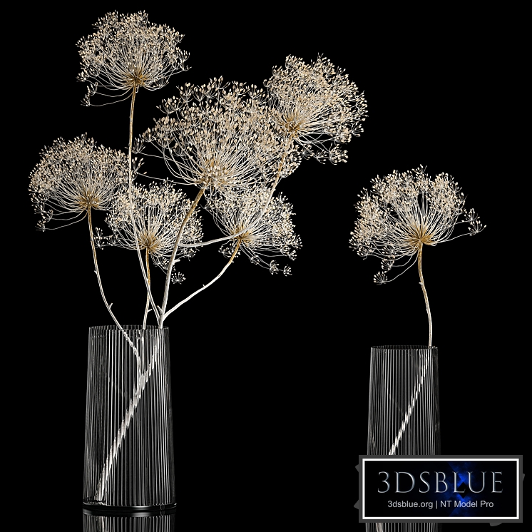 Bouquet 242. Hogweed, Dried flowers, branches, dry, vase glass, natural decor, eco design, white, bleached, luxury decor, stylish, Heracleum, Cow Parsnip