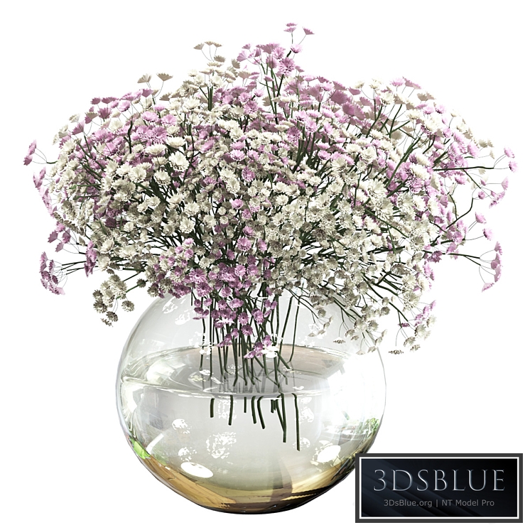 Bouquet of white and pink gypsophila