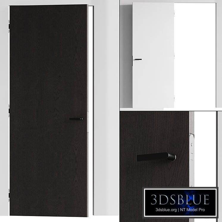 Concealed doors 004
