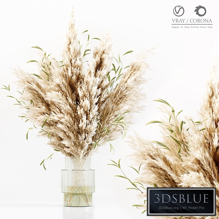 Pampas In Dina Fluted Glass Vase