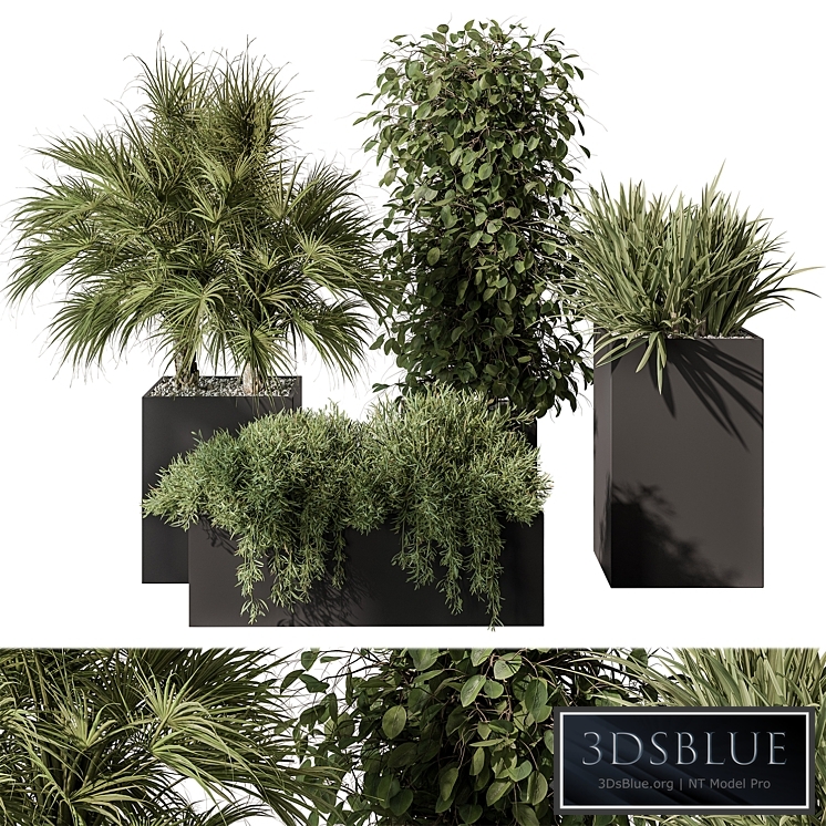 Outdoor Plant Set 402 - Plant Set in Plant Box