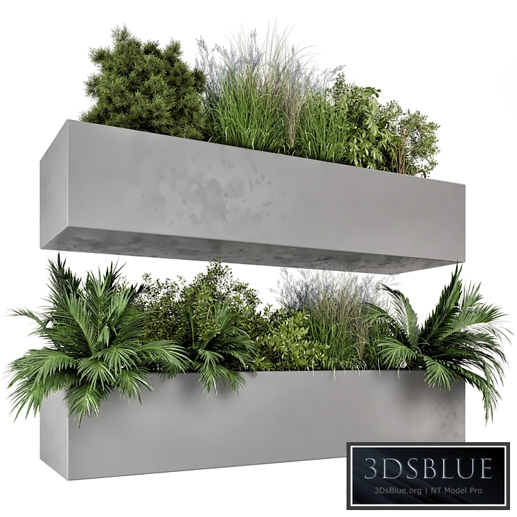 Hanging Plants Set in Gray Pot - Set 717